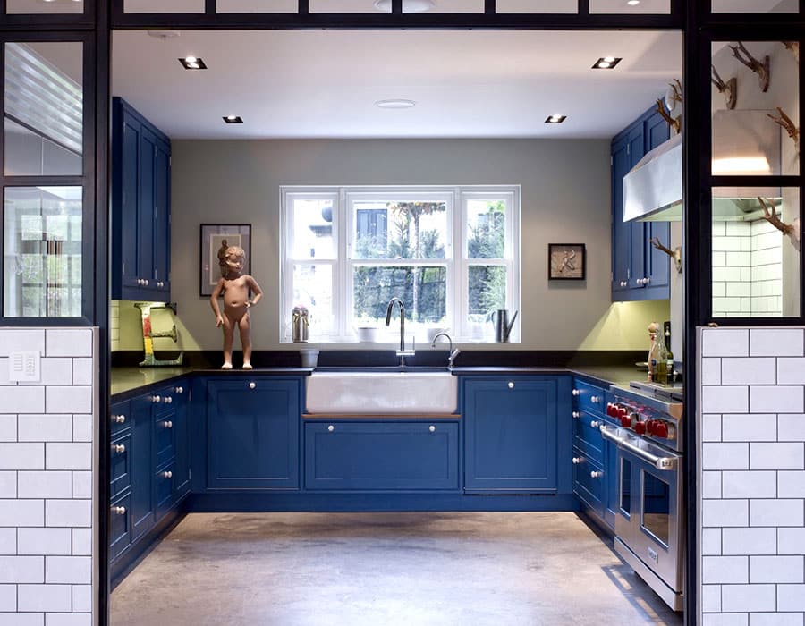 Crittall Steel Doors